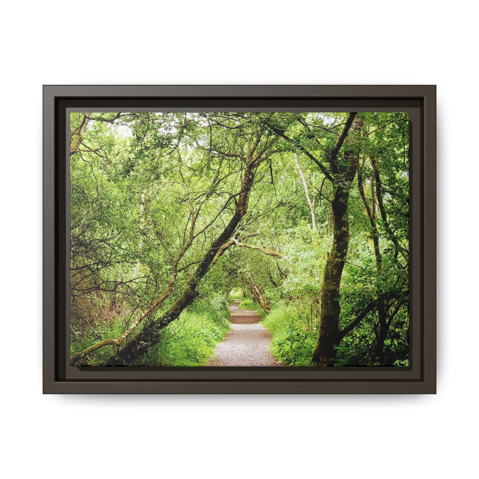 Forest Way (Framed)