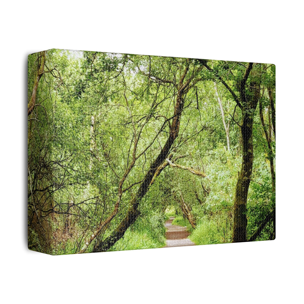 Forest Way