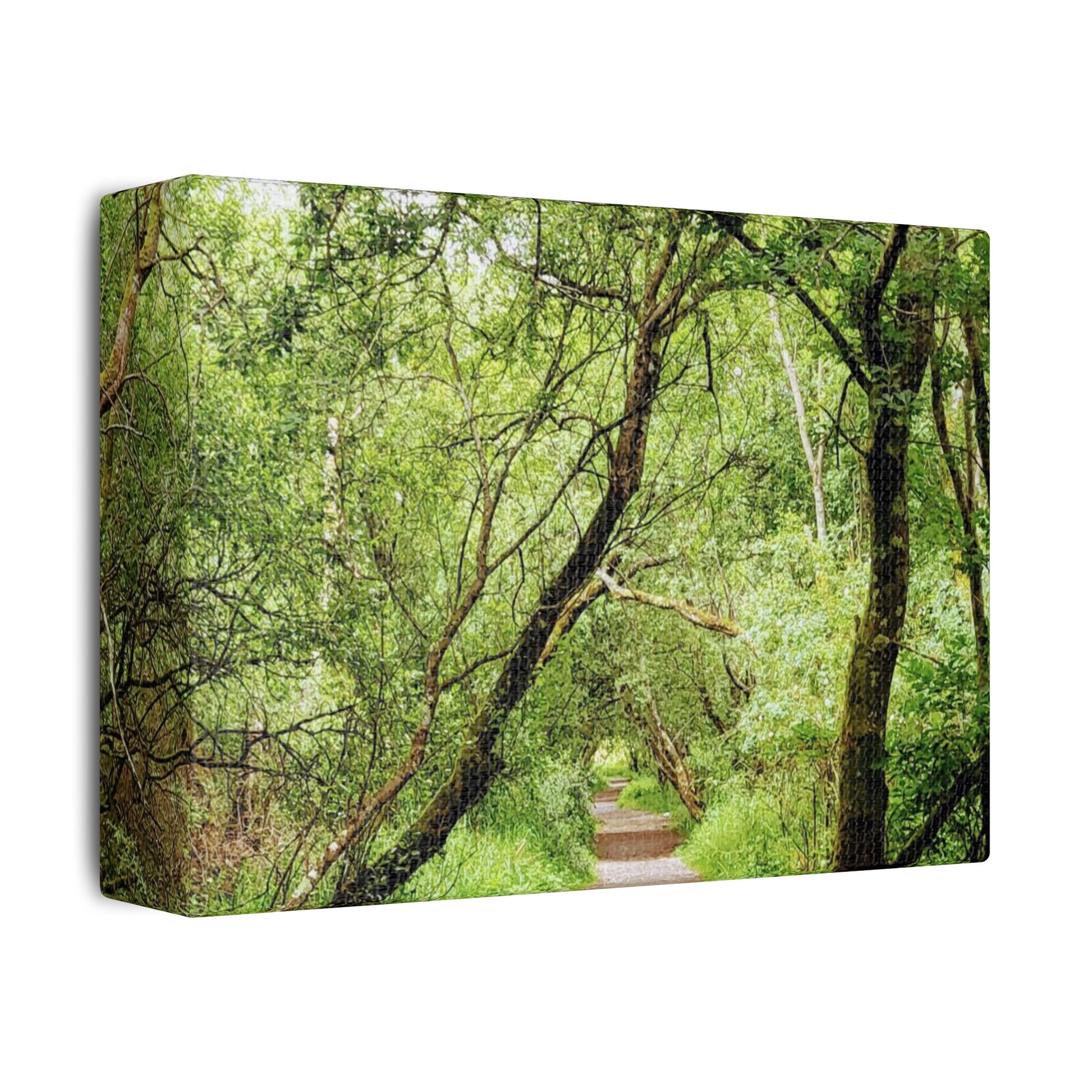 Forest Way