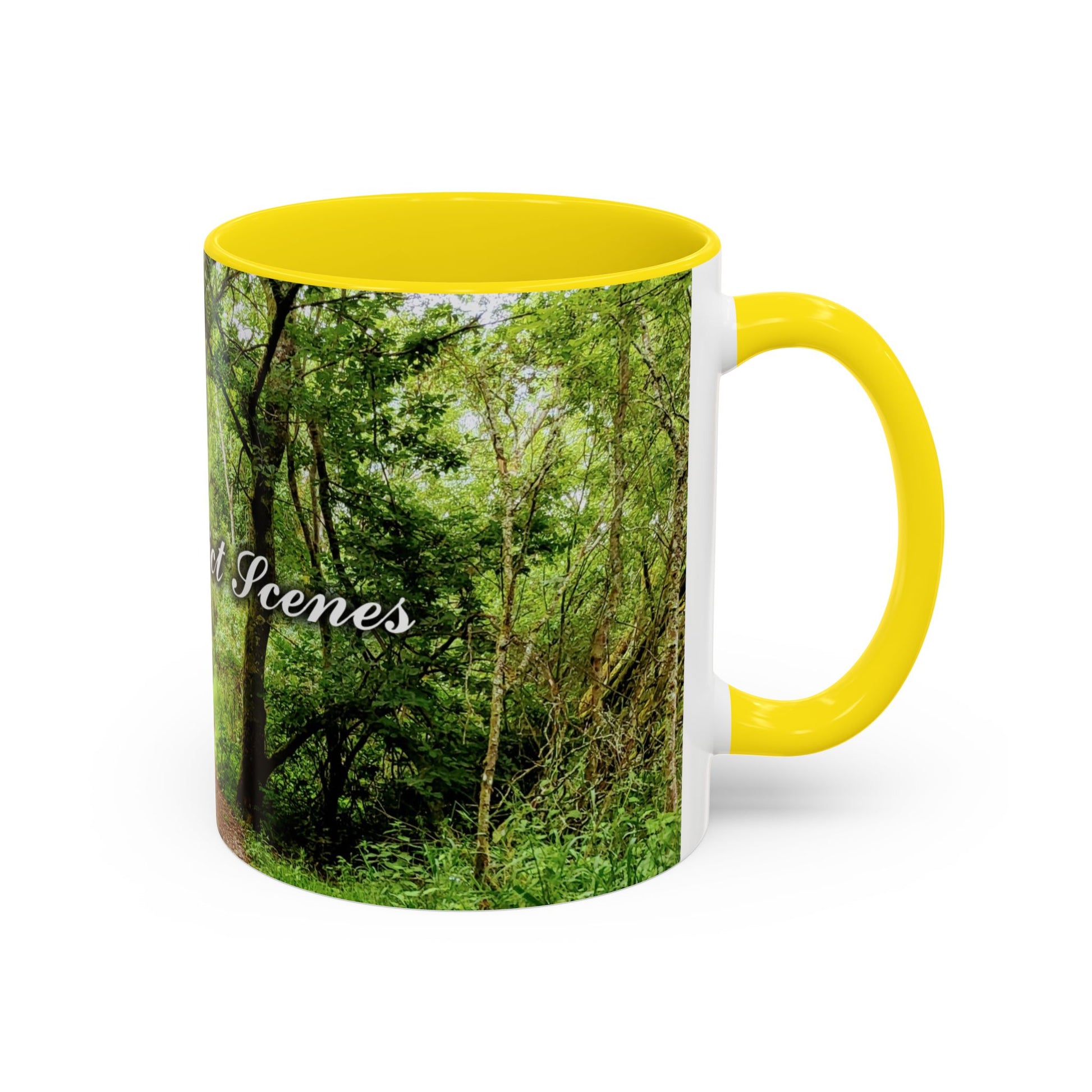 Forest way Coloured Coffee Mug