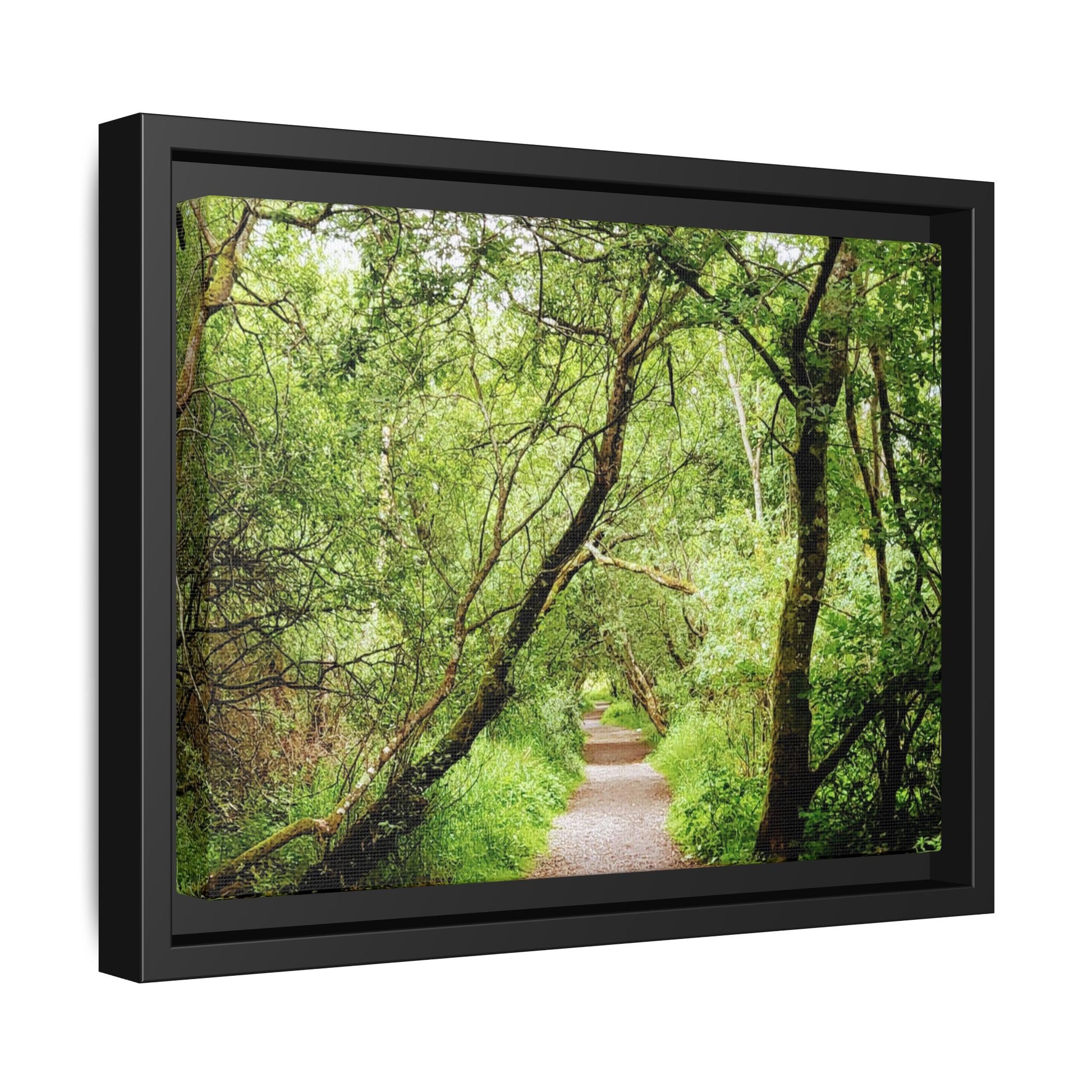 Forest Way (Framed)