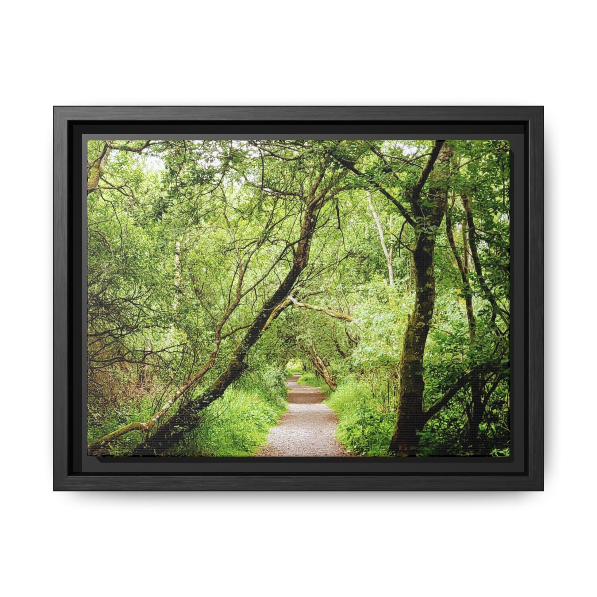 Forest Way (Framed)