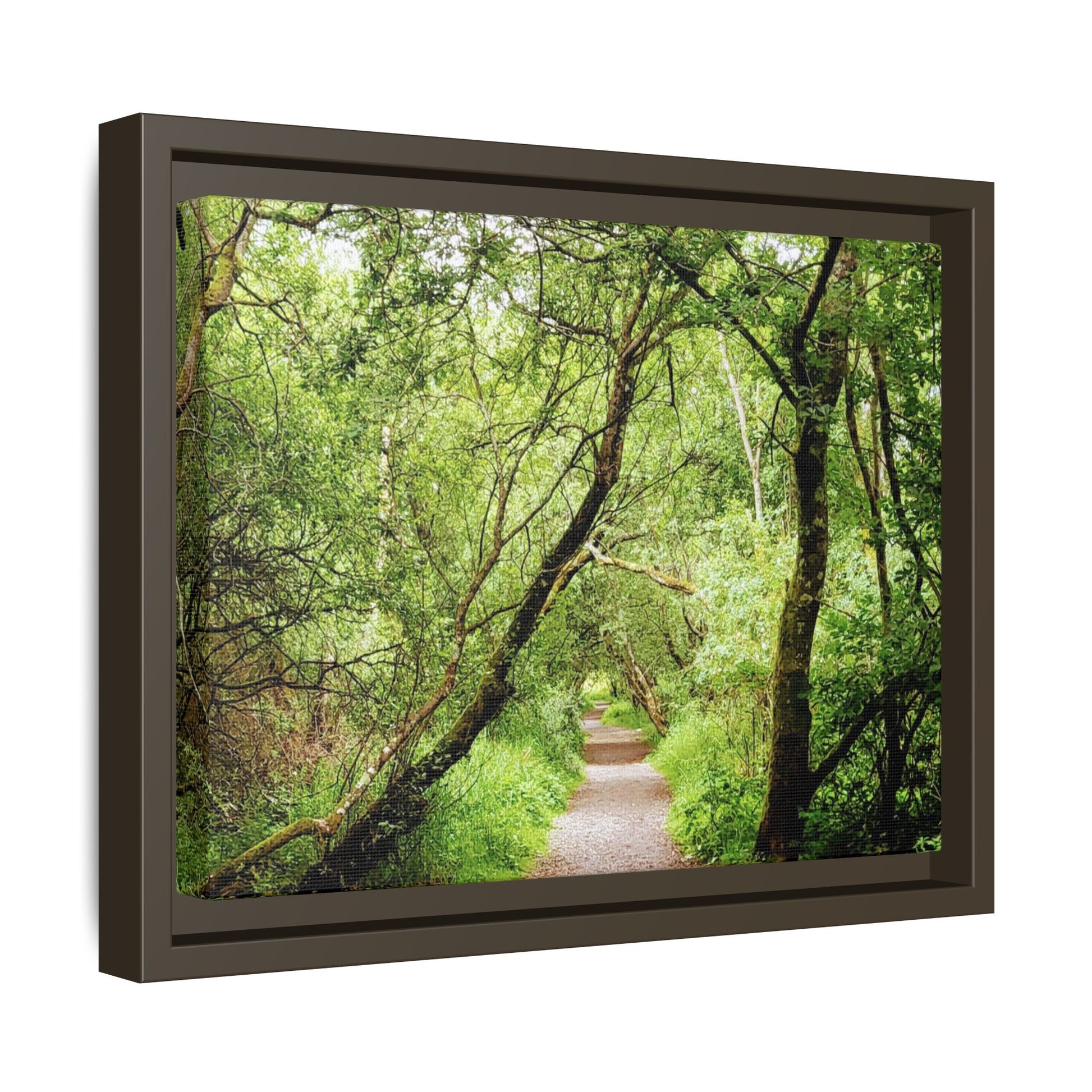 Forest Way (Framed)