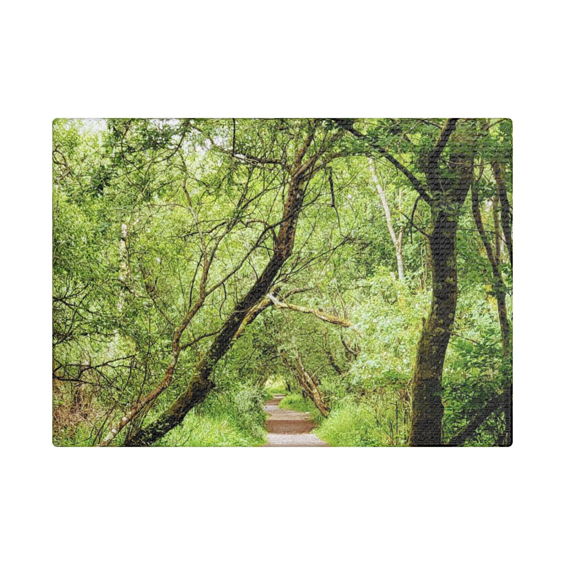 Forest Way