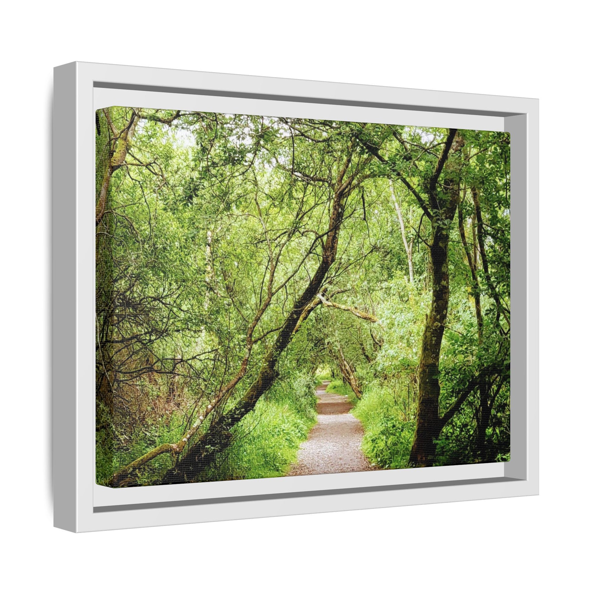Forest Way (Framed)